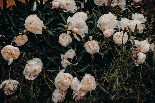 Top 5 modèles de volets roulants pour répondre à vos besoins