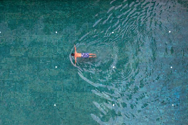 Traitement naturel du charançon rouge : découvrez les nématodes