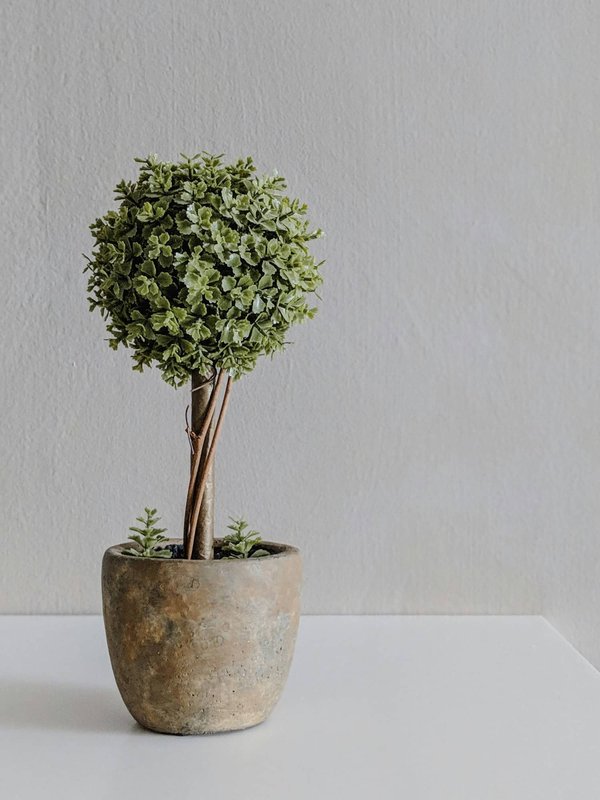 Décorez avec des faux arbres déco pour tout espace